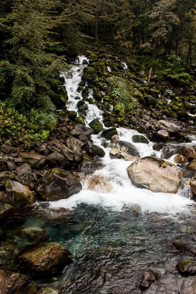 Rocas, agua y bosque