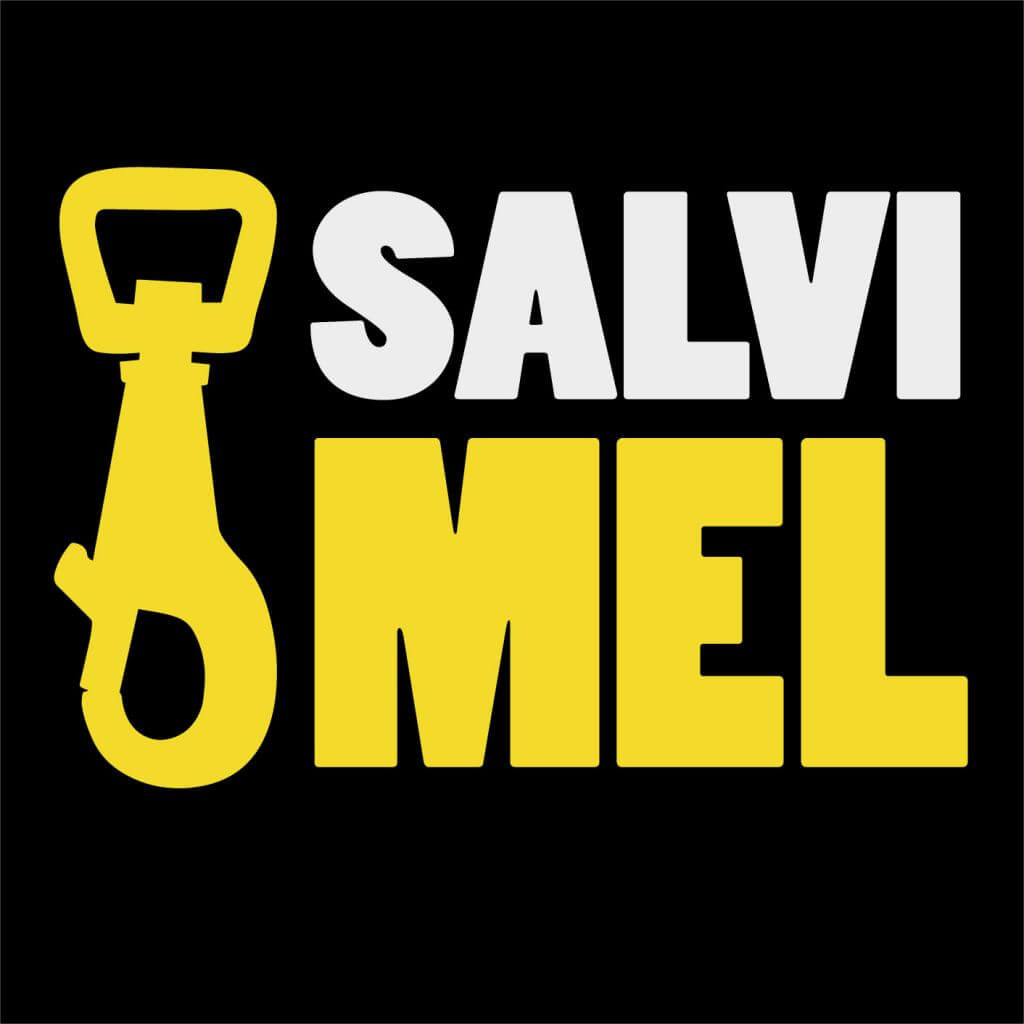 Logo_Salvi Mel