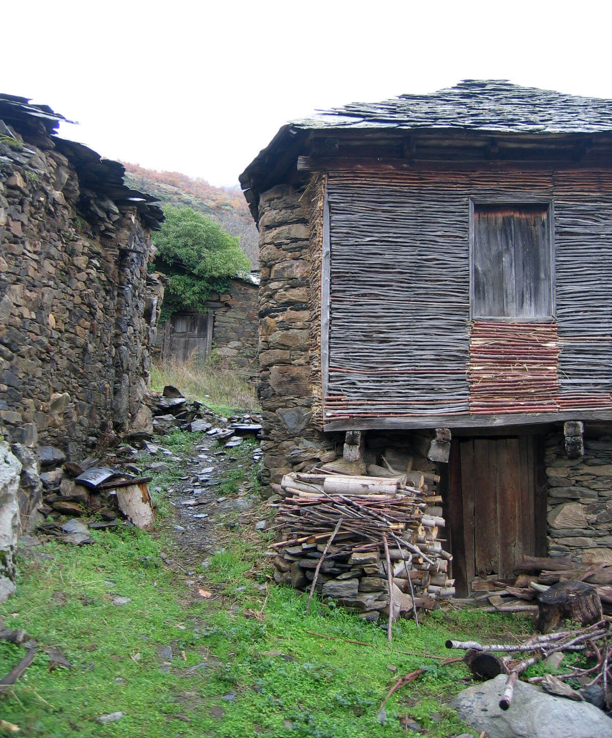 El mundo rural sobrevive