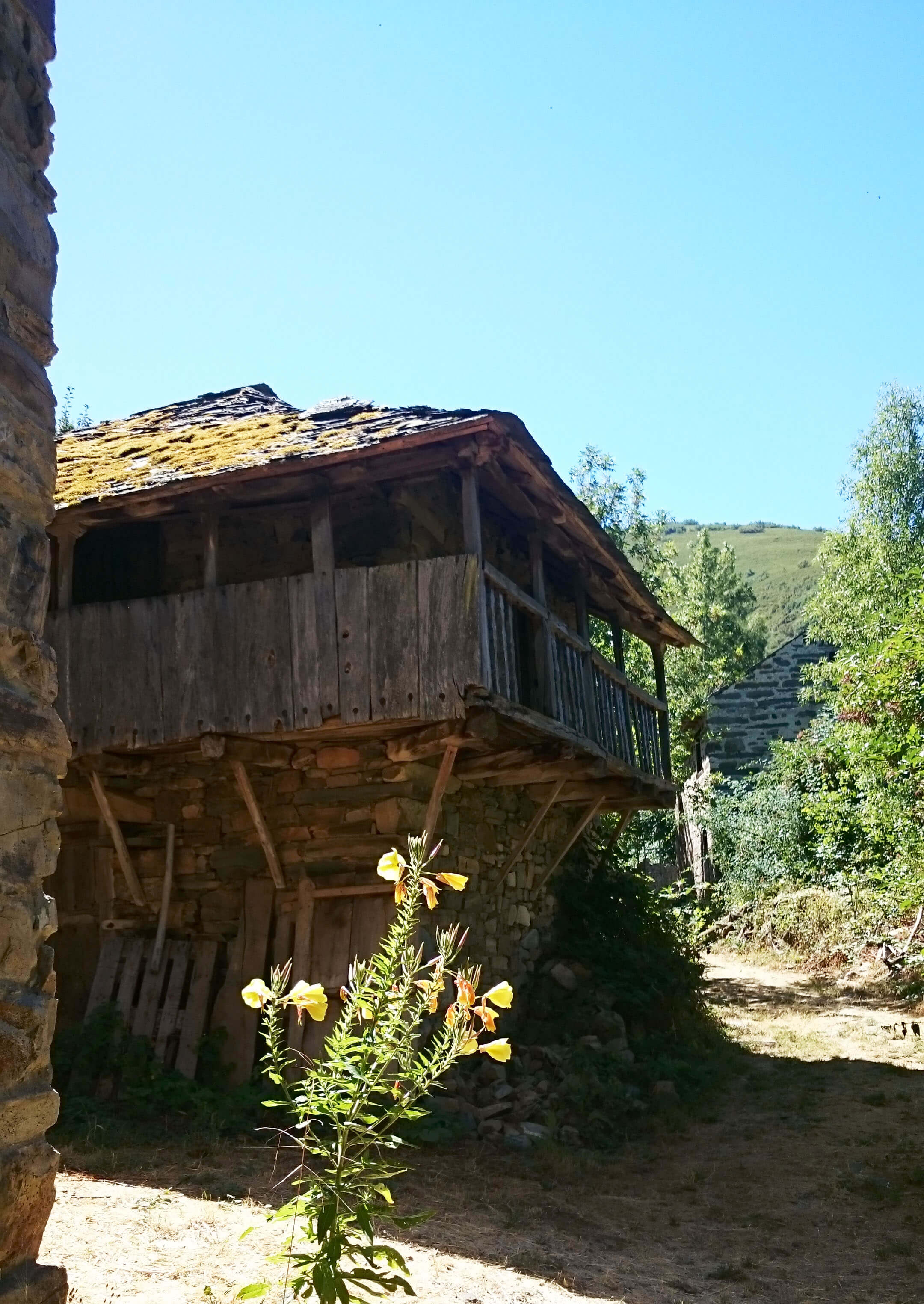 Reformas integrales en casas centenarias