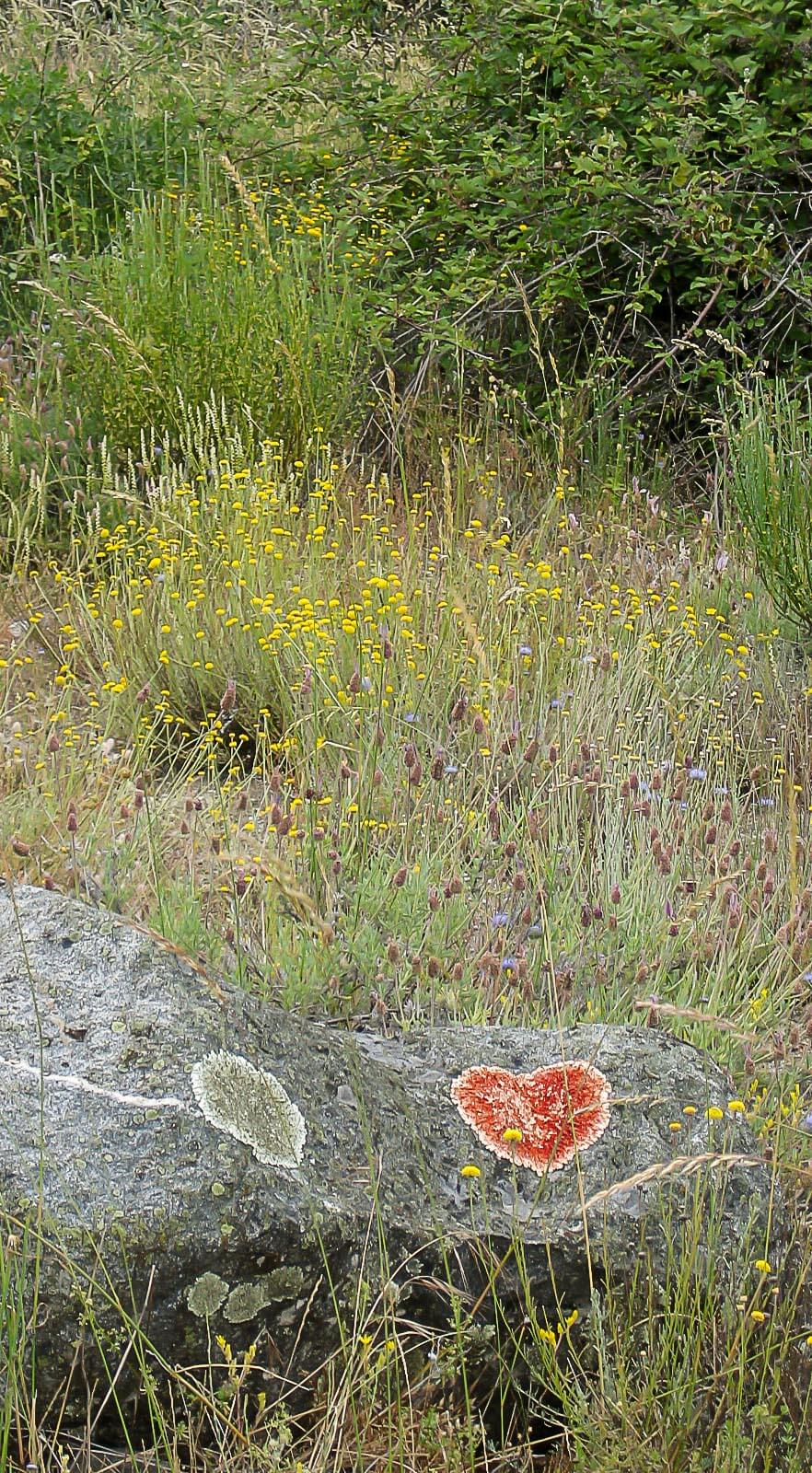 Corazón de piedra