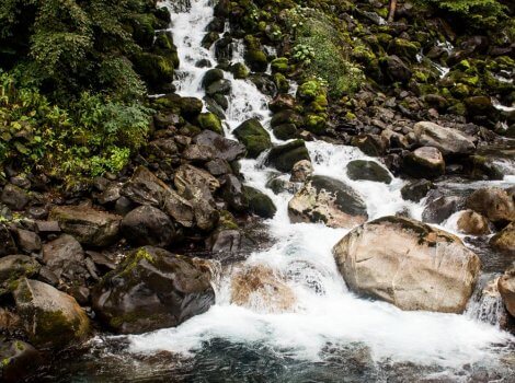 Rocas, agua y bosque