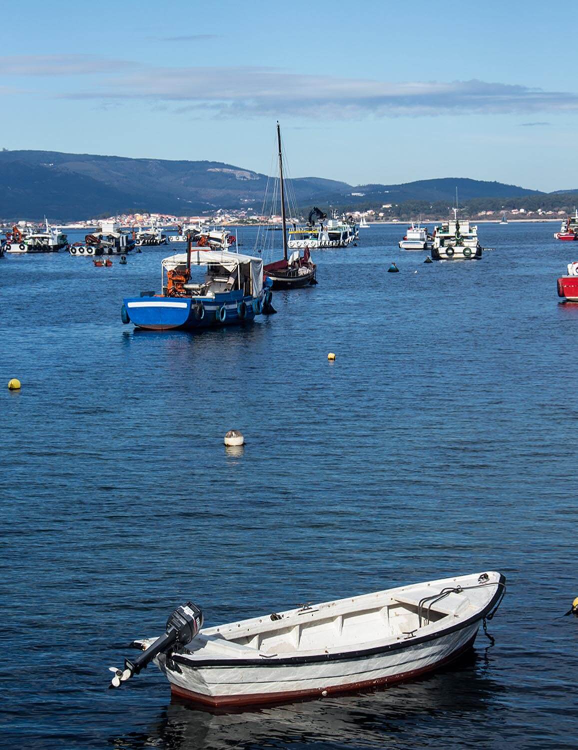 Cambio climático en Galiza, mañanas de diciembre con sol y 18º