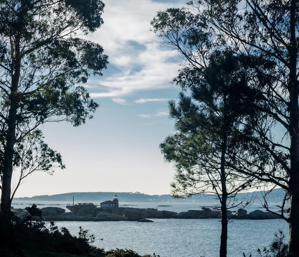 Punta Cabalo en una tarde de diciembre entre arboles y buen tiempo