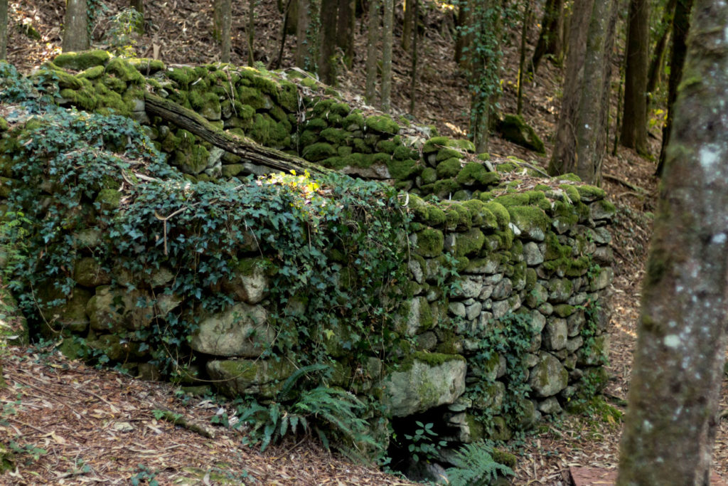 Ruinas de un molino, aunque con la mecánica y las piedras de moler .