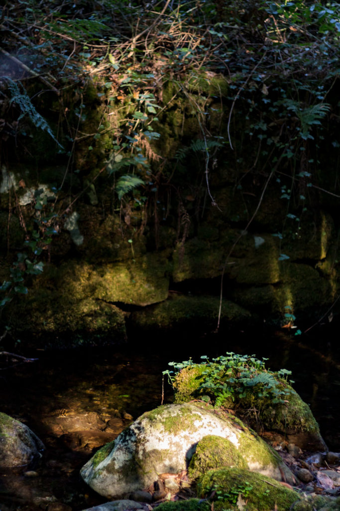 Una zona umbría es iluminada.